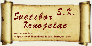 Svetibor Krnojelac vizit kartica